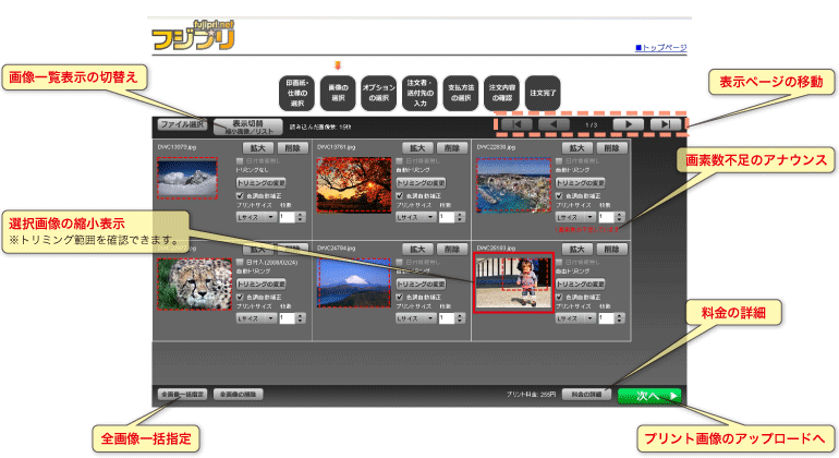 読み込みファイルのプレビュー